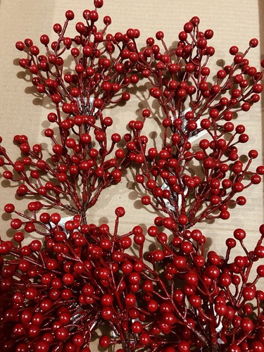 30x steli bacche rosse - bacche,