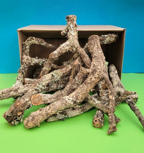 Rami sughero scatola - scatola, 5kg