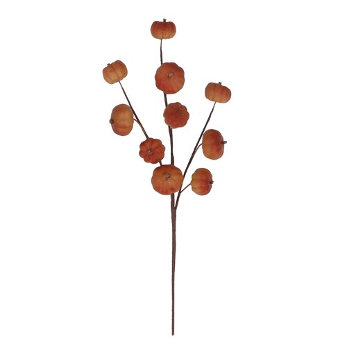 Decorazione halloween - decorazione,