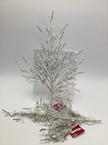 Ashland christmas berry - ashland,