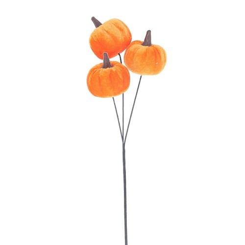 Decorazione halloween - decorazione,