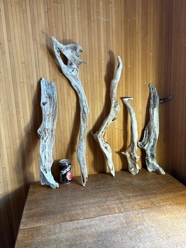 Driftwood rami argento - driftwood,