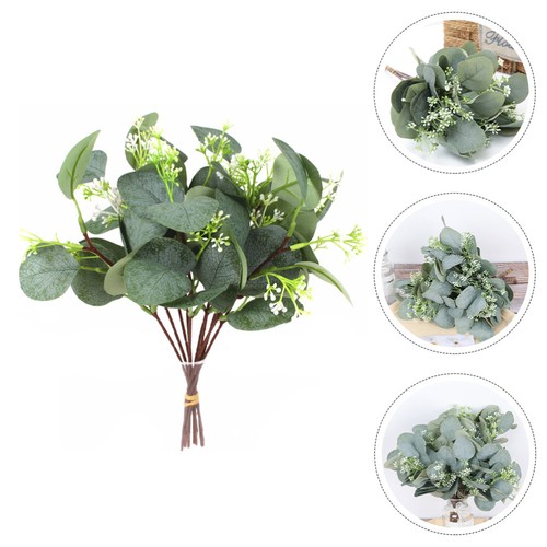 Pezzi foglie eucalipto - foglie,