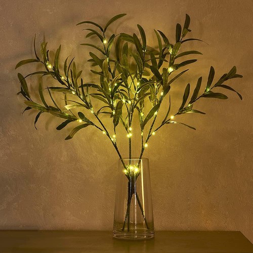 Ramo led luce - led,