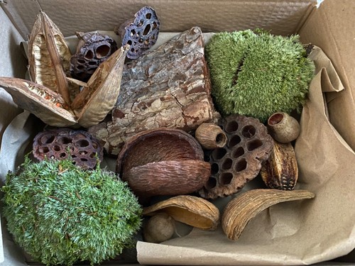 Terrario vivarium insetti - vivarium,